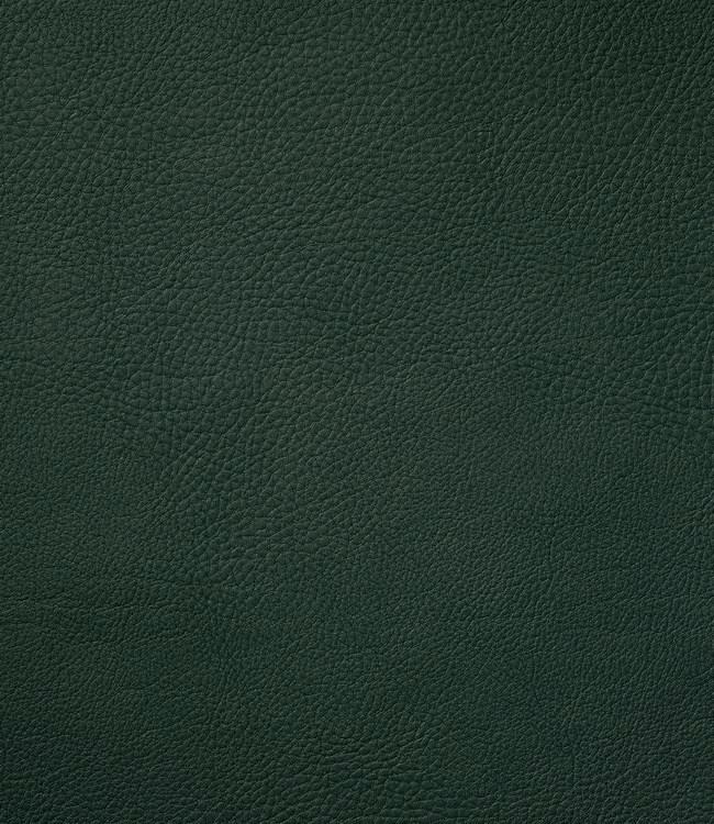 MONACO - place mat - 45x30cm - 12pc - JUNGLE GREEN